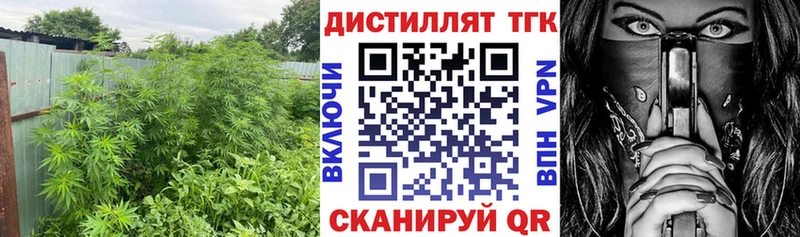 ТГК вейп  кракен как войти  Козельск 