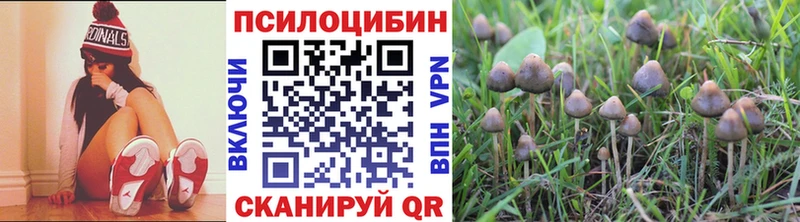 Галлюциногенные грибы Psilocybine cubensis где купить наркоту Козельск